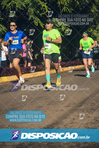 Vale Verde Run 2024