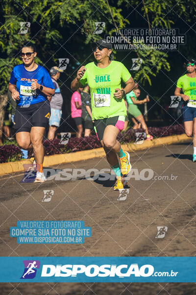 Vale Verde Run 2024