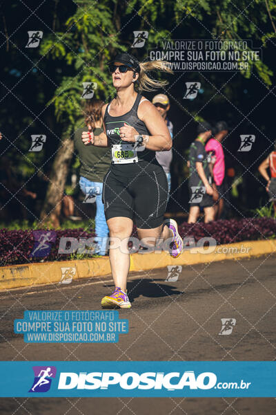 Vale Verde Run 2024