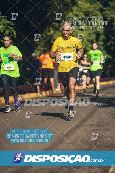 Vale Verde Run 2024