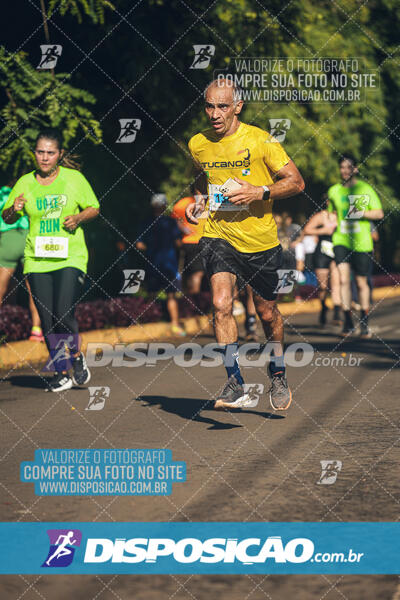 Vale Verde Run 2024