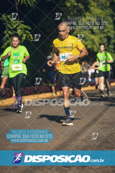 Vale Verde Run 2024