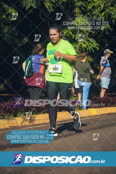 Vale Verde Run 2024