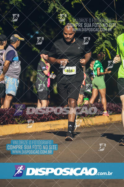 Vale Verde Run 2024