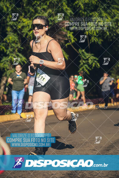 Vale Verde Run 2024