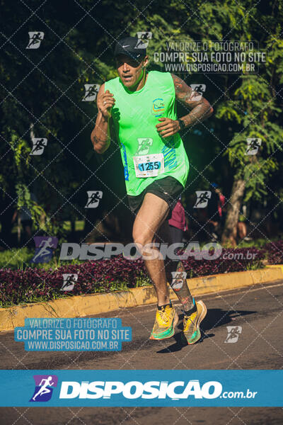 Vale Verde Run 2024