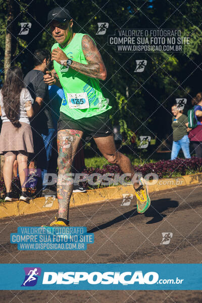 Vale Verde Run 2024