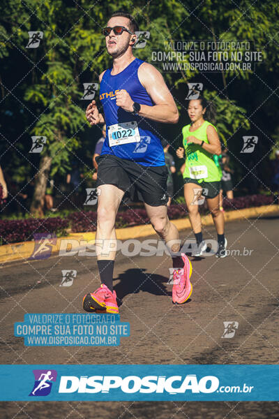 Vale Verde Run 2024