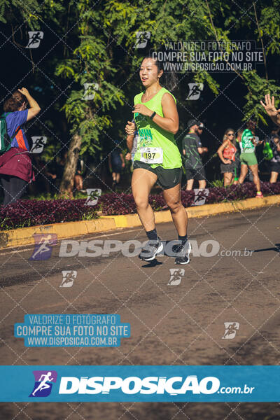 Vale Verde Run 2024