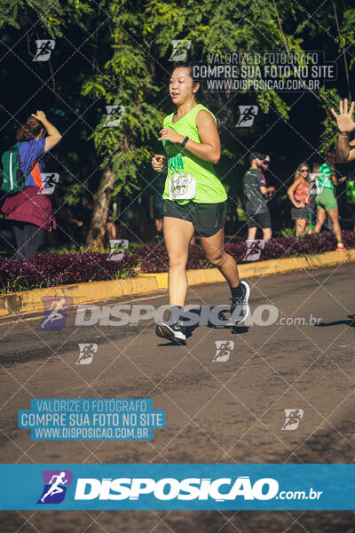 Vale Verde Run 2024