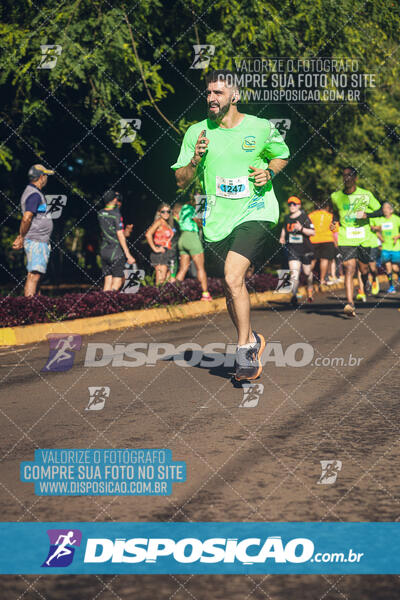 Vale Verde Run 2024