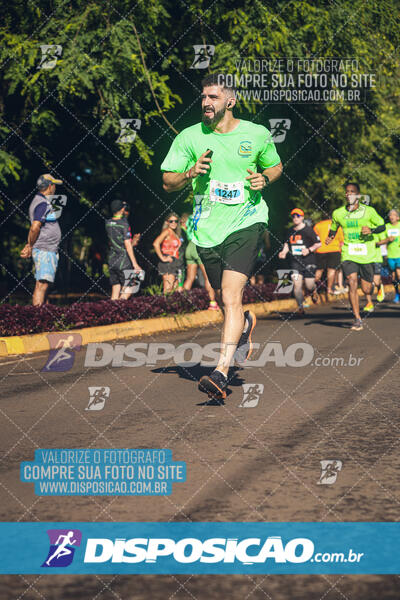 Vale Verde Run 2024