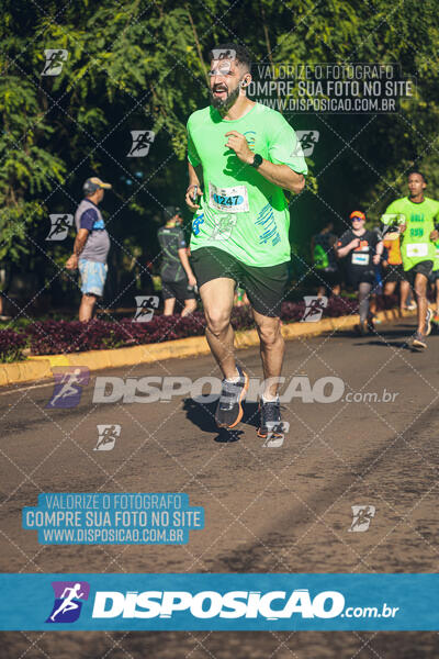 Vale Verde Run 2024