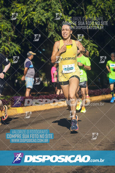 Vale Verde Run 2024