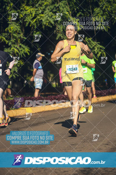 Vale Verde Run 2024