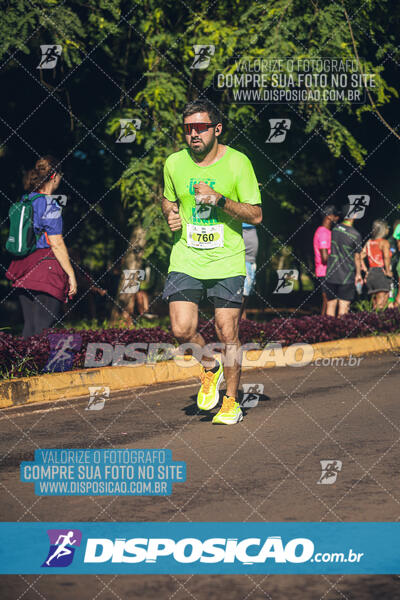 Vale Verde Run 2024