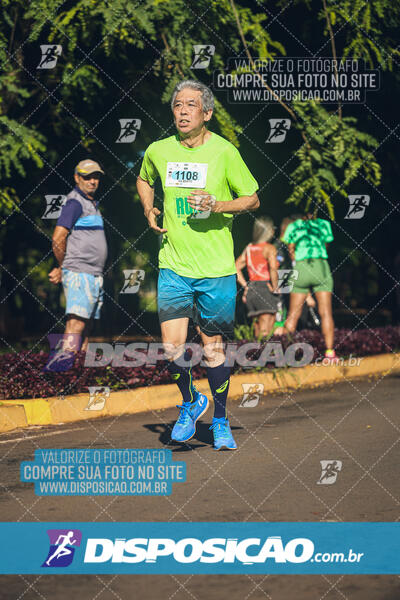 Vale Verde Run 2024