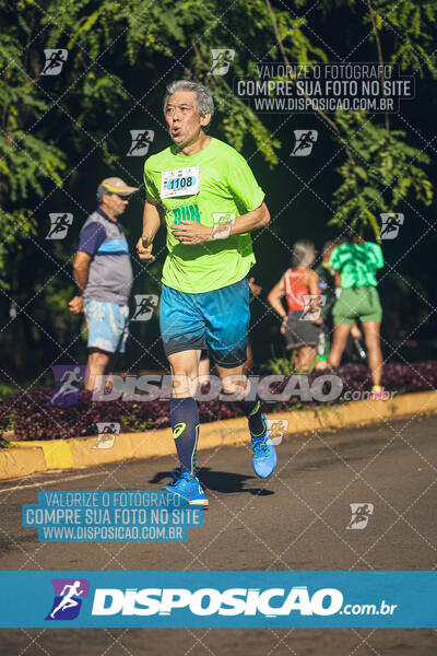 Vale Verde Run 2024