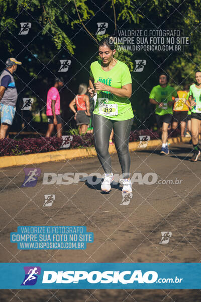 Vale Verde Run 2024