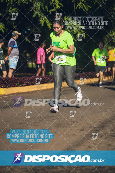 Vale Verde Run 2024