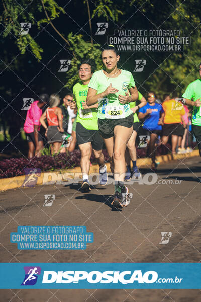 Vale Verde Run 2024