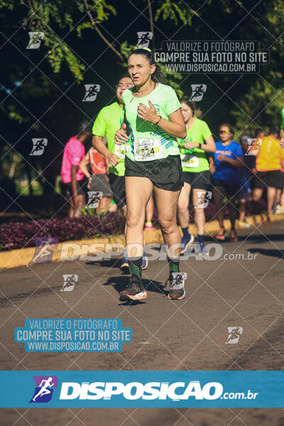 Vale Verde Run 2024