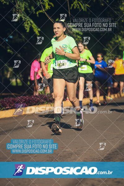 Vale Verde Run 2024