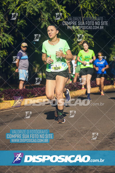 Vale Verde Run 2024