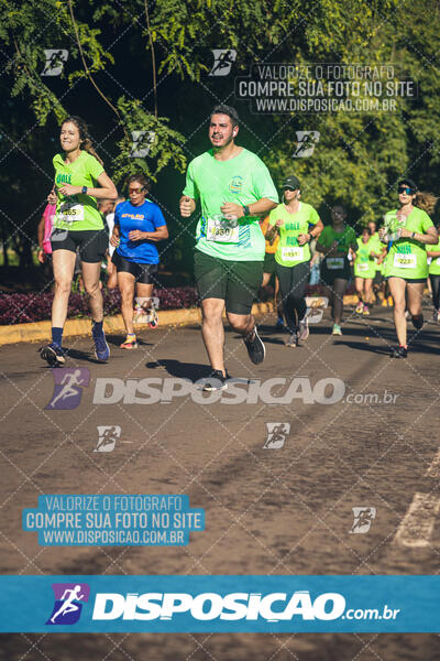 Vale Verde Run 2024