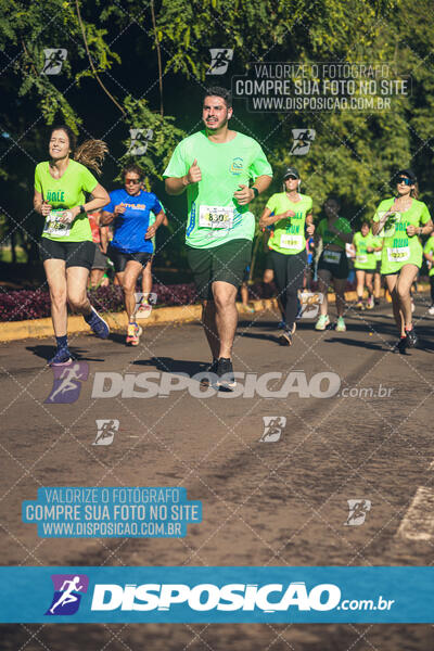 Vale Verde Run 2024