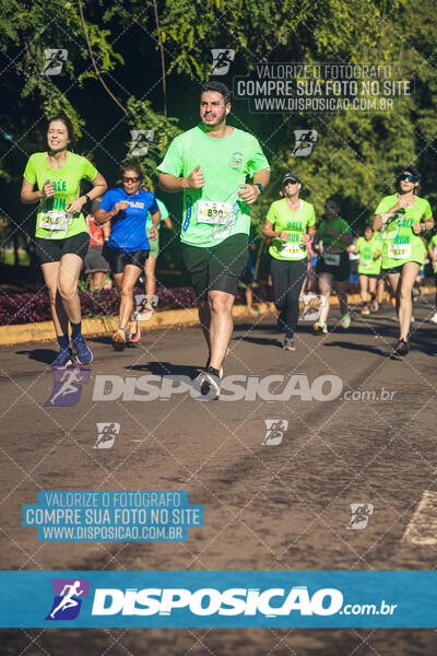 Vale Verde Run 2024