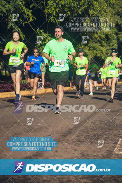 Vale Verde Run 2024