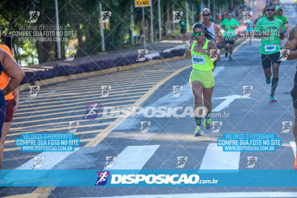 Vale Verde Run 2024