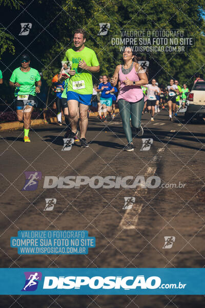 Vale Verde Run 2024