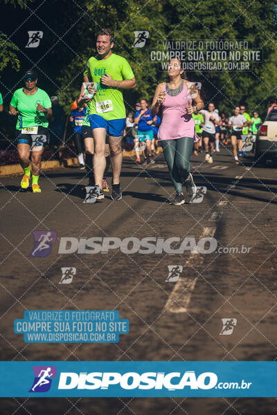 Vale Verde Run 2024