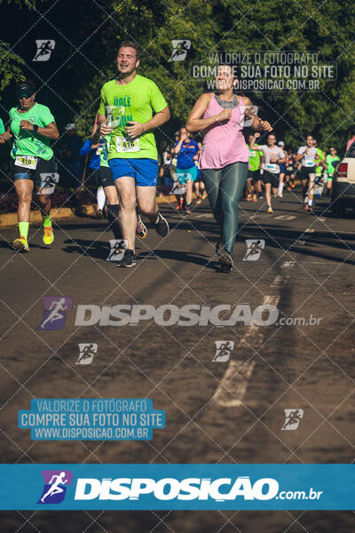 Vale Verde Run 2024