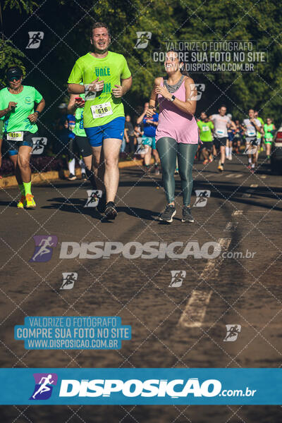 Vale Verde Run 2024