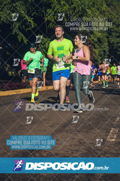 Vale Verde Run 2024