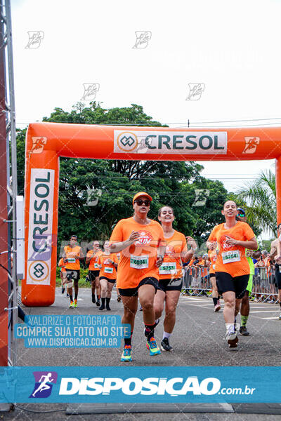 Cresol Run 2025