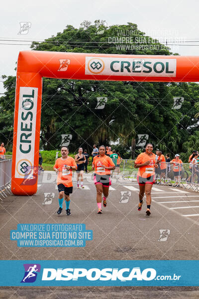 Cresol Run 2025