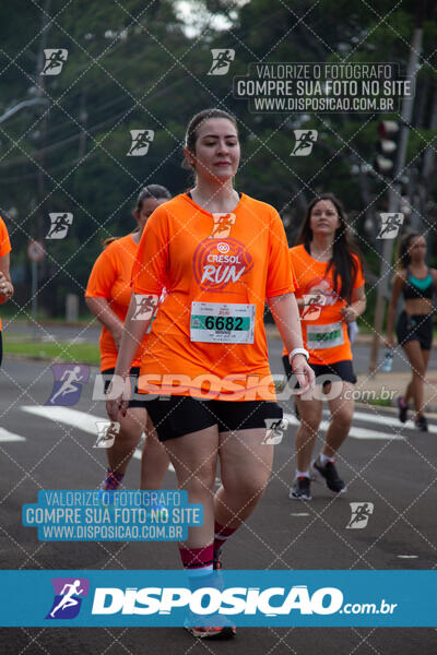 Cresol Run 2025