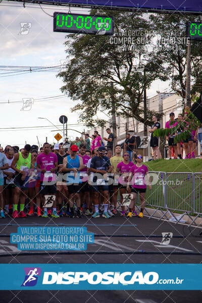 Track & Field Experience 2025 - Londrina