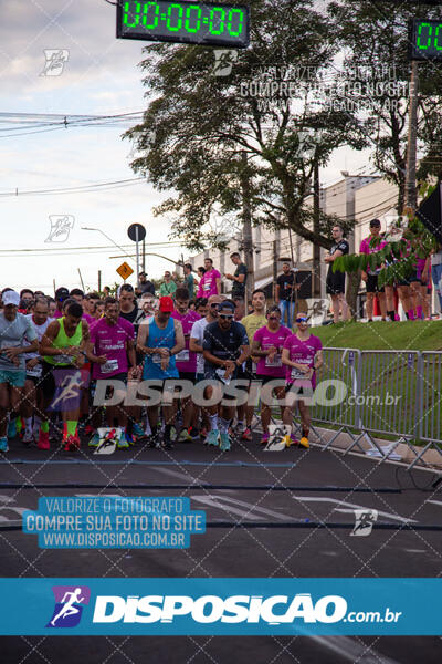 Track & Field Experience 2025 - Londrina