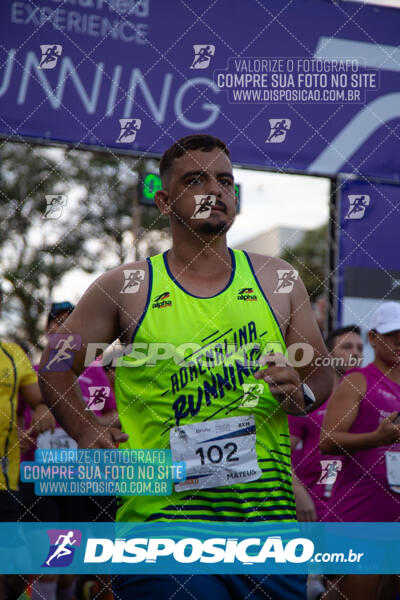 Track & Field Experience 2025 - Londrina