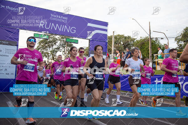 Track & Field Experience 2025 - Londrina