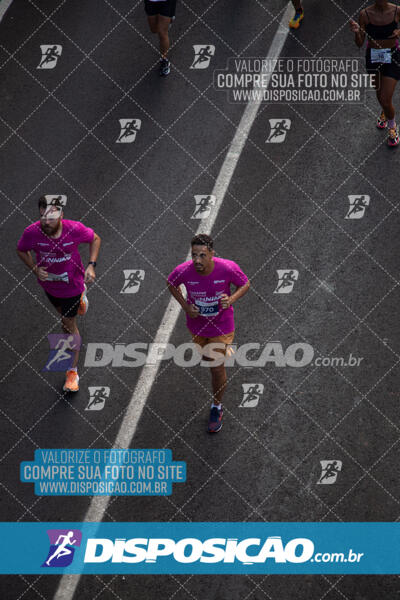 Track & Field Experience 2025 - Londrina