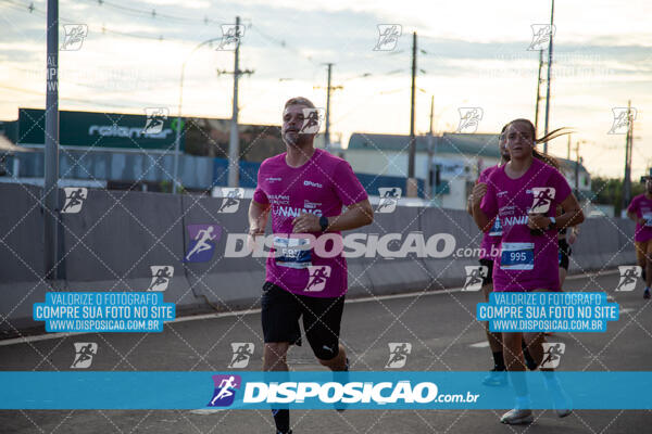 Track & Field Experience 2025 - Londrina