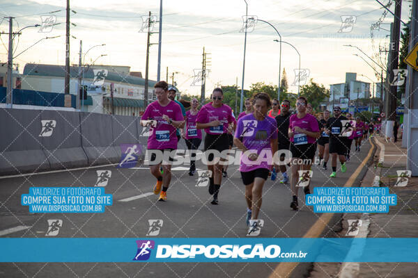 Track & Field Experience 2025 - Londrina