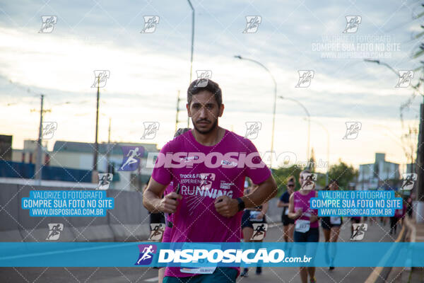 Track & Field Experience 2025 - Londrina