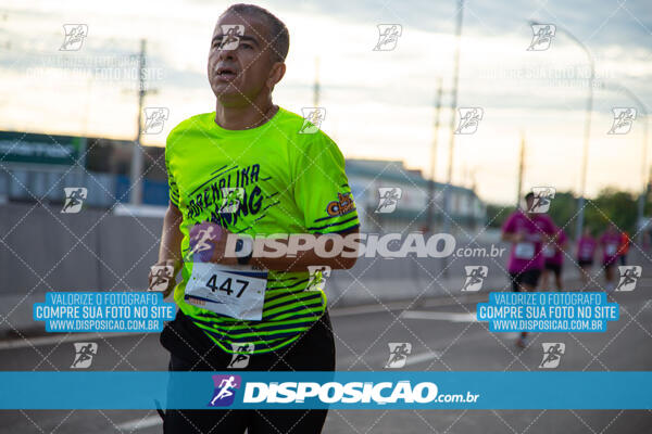 Track & Field Experience 2025 - Londrina